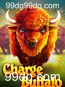 Tudo o que você precisa saber sobre ChargeBuffalo